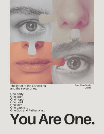book cover with face puzzle